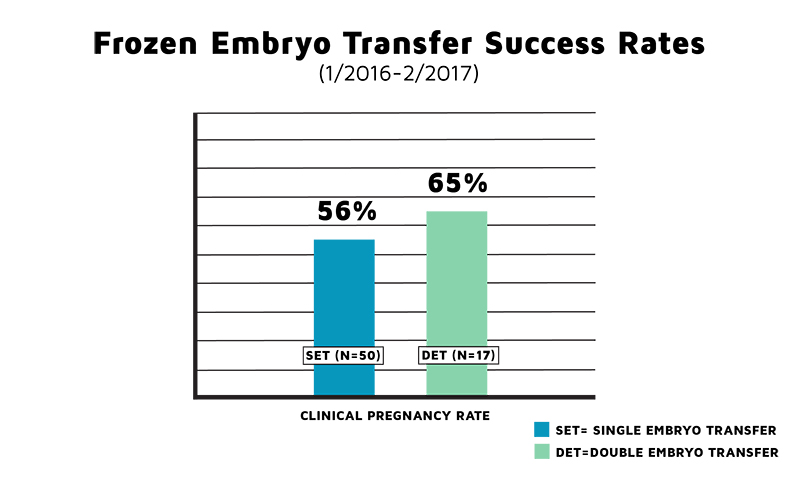 5 day frozen embryo transfer due date 5 day frozen embryo transfer due date